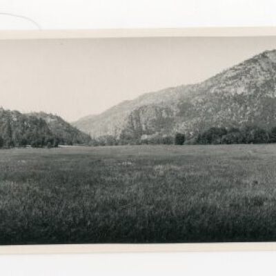Print, Photographic