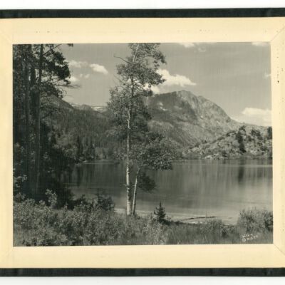 Print, Photographic