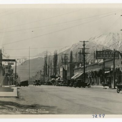 Print, Photographic