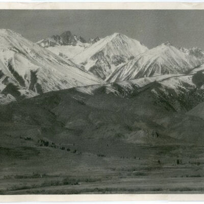 Print, Photographic