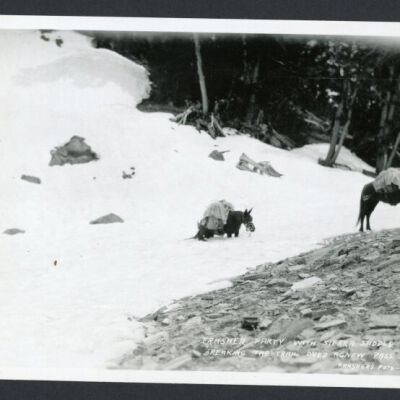 Print, Photographic