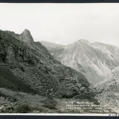 Print, Photographic