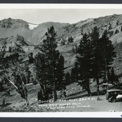 Print, Photographic
