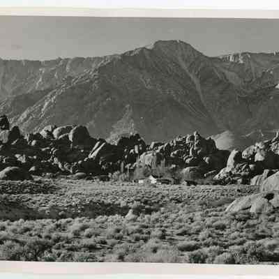 Print, Photographic