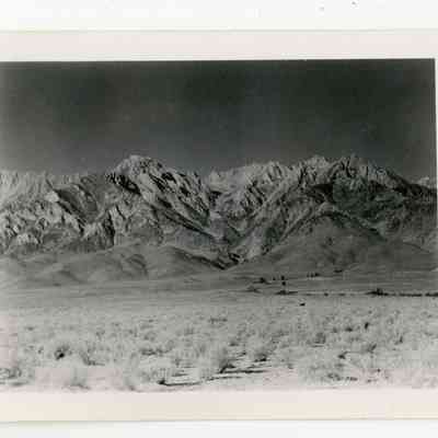 Print, Photographic