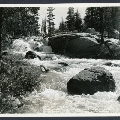 Print, Photographic