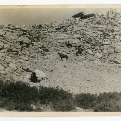 Print, Photographic