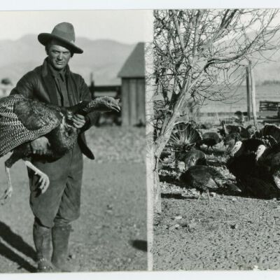 Print, Photographic