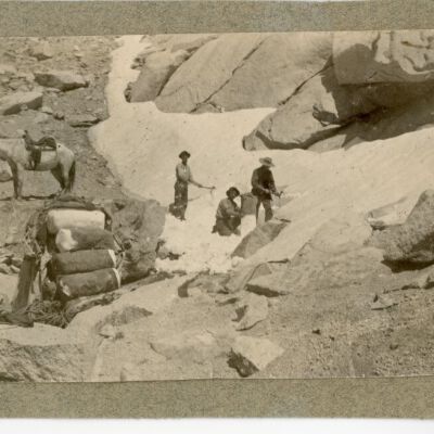 Print, Photographic