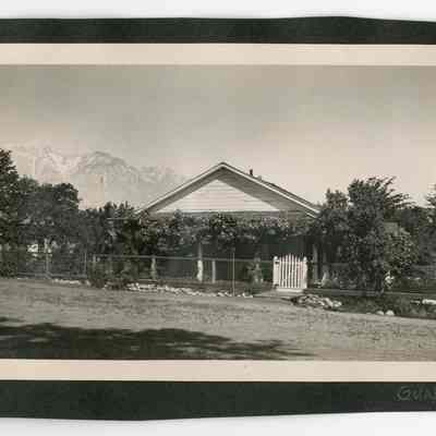Print, Photographic