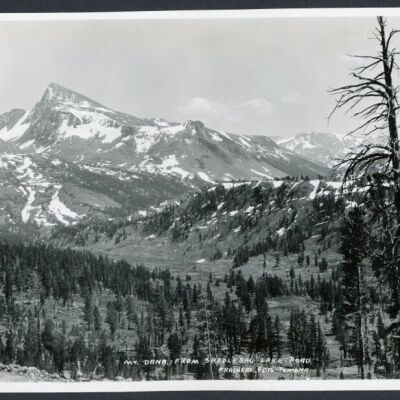 Print, Photographic