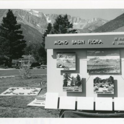 Origformat: Print-Photographic