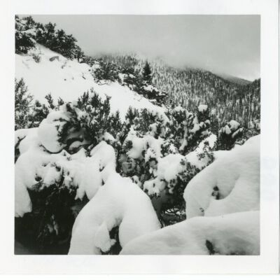 Print, Photographic