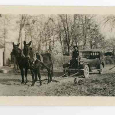Print, Photographic