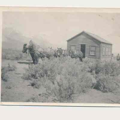 Print, Photographic