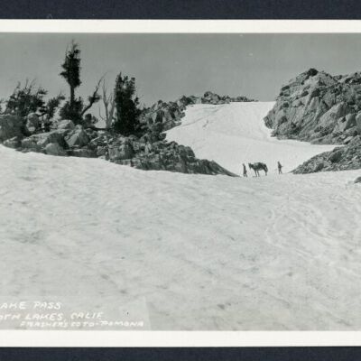 Print, Photographic