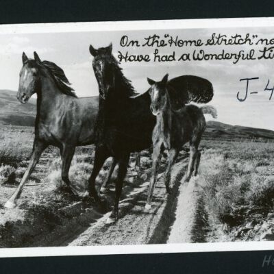 Print, Photographic