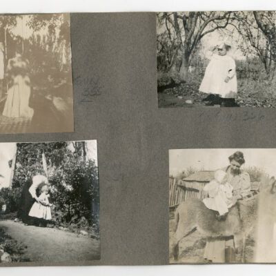 Print, Photographic