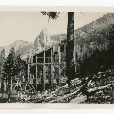 Print, Photographic