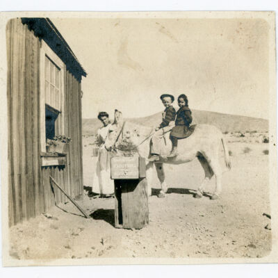 Print, Photographic