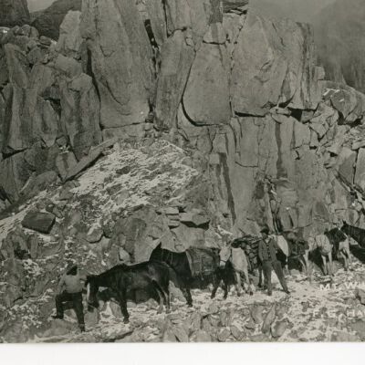 Mt. Whitney Trail