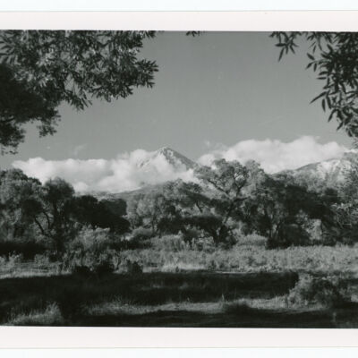 Print, Photographic
