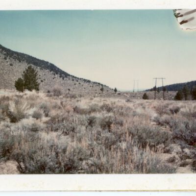 Print, Photographic