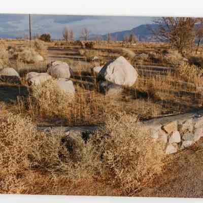 Print, Photographic