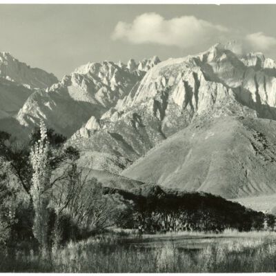 Print, Photographic
