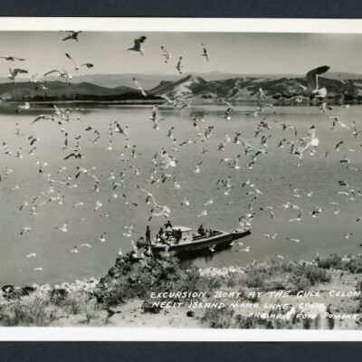 Print, Photographic