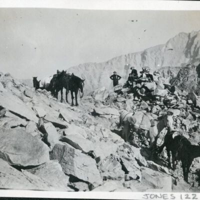 Print, Photographic