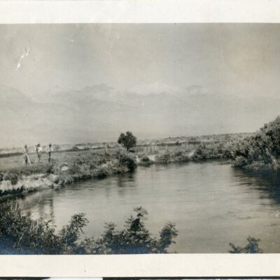 Print, Photographic