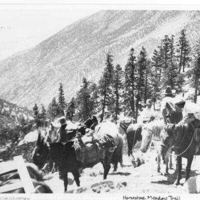 Horseshoe Meadow Trail