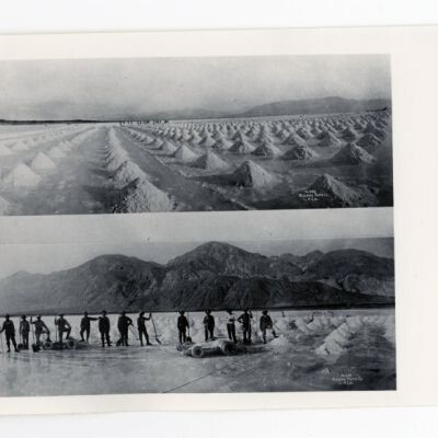 Print, Photographic
