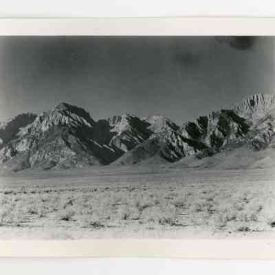Print, Photographic