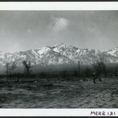 Print, Photographic