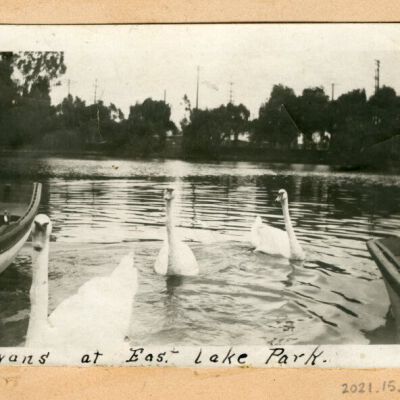 Print, Photographic