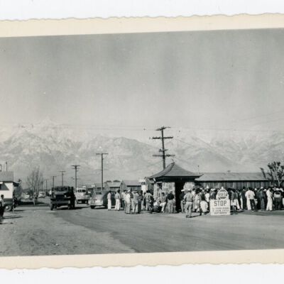 Print, Photographic