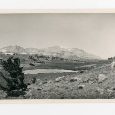 Print, Photographic