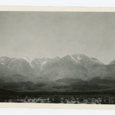 Print, Photographic