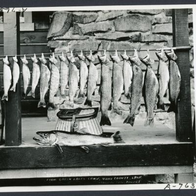 Print, Photographic