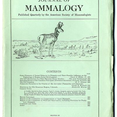 Journal of Mammalogy, Vol. 9, No. 4, November 1928