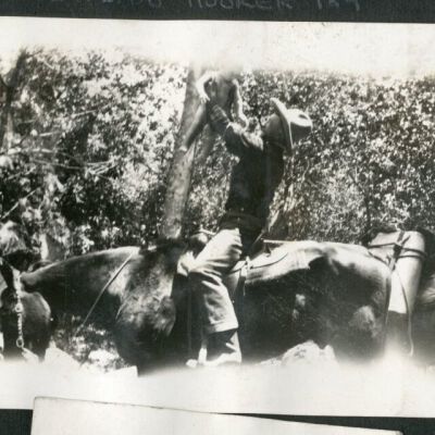 Print, Photographic