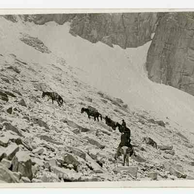 Mt. Whitney Trail