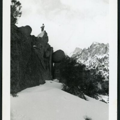 Print, Photographic