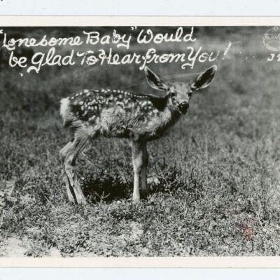 Print, Photographic