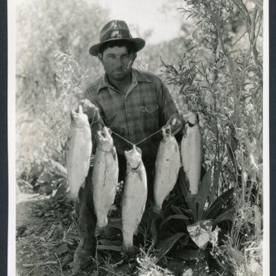 Print, Photographic