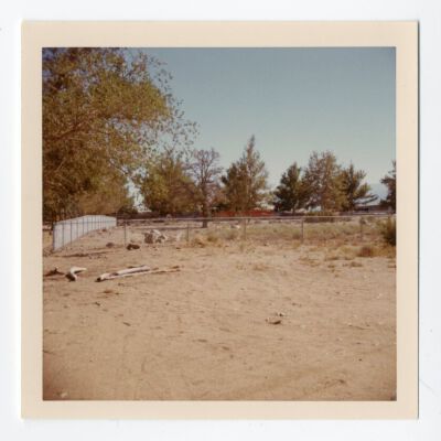 Print, Photographic