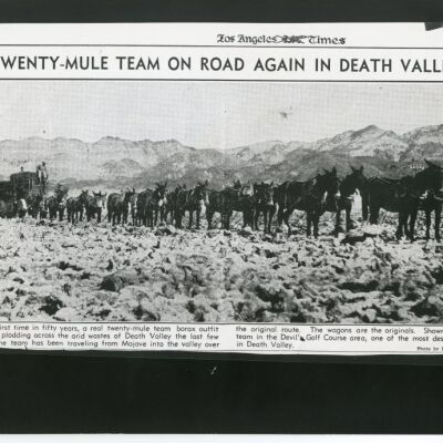 Twenty-Mule Team on Road Again in Death Valley!