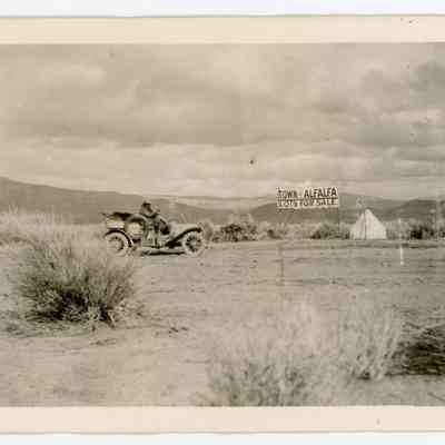 Print, Photographic
